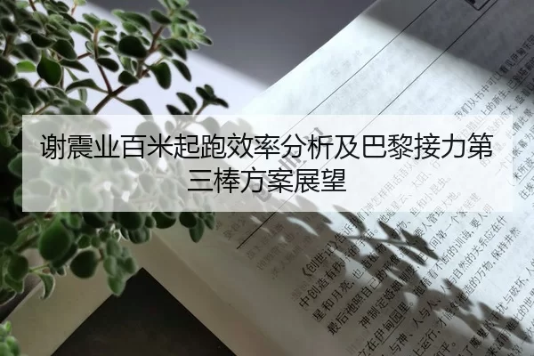 谢震业百米起跑效率分析及巴黎接力第三棒方案展望