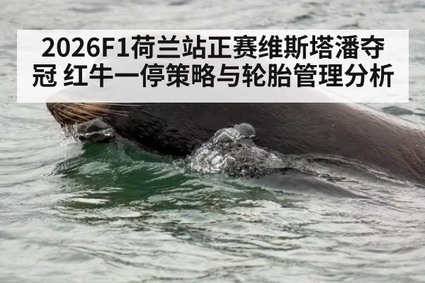 2026F1荷兰站正赛维斯塔潘夺冠 红牛一停策略与轮胎管理分析