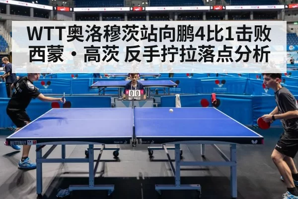 table tennis match action